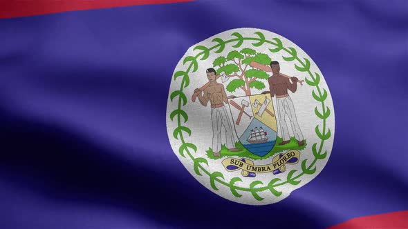 Belize Flag Seamless Closeup Waving Animation