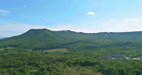 Panoramic Aerial View of Summer Green Trees Forest of Highway Junction Road in Daleville Town