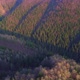 Aerial Shot of Drone Over Colorful Forest in Early Spring - VideoHive Item for Sale