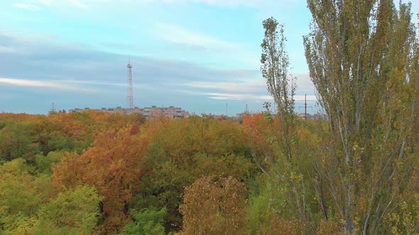 Autumn City Landscape