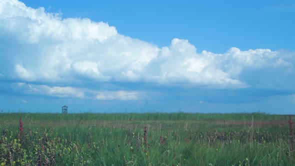 Time lapse of beautiful white fasting puffy cumulus clouds at footbridge path and birdwatching tower