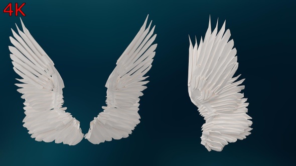 Angel Wings White