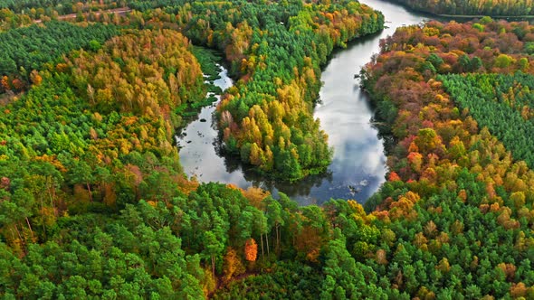 Stunning river and forest in autumn. Aerial view of wildlife.