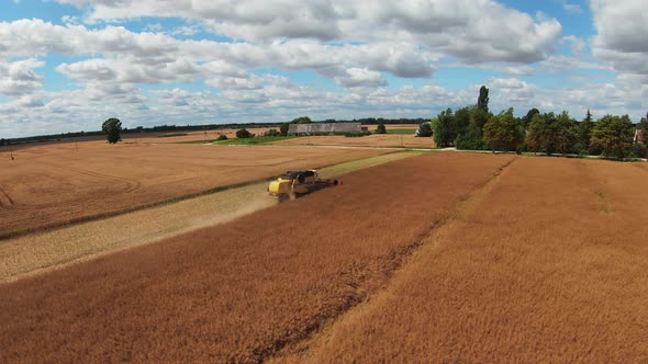 Combine Harvester Harvesting Large Field