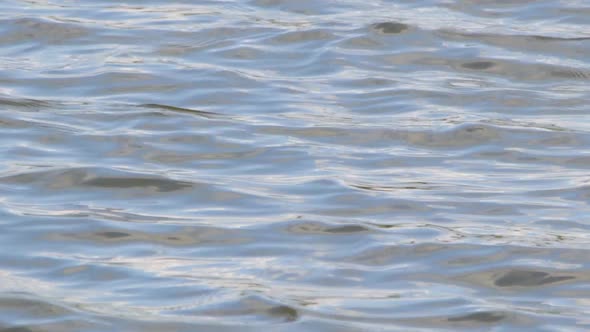 Light Waves and Ripples on Water