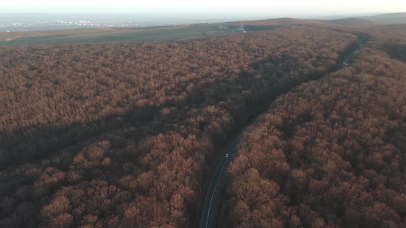 4k High Drone Shot Over Forest In Fall And Cars Passing By The Road