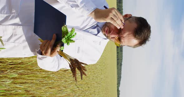 Vertical Footage of a Scientist in a Wheat Field Checking the Condition of the Crop and Making Notes