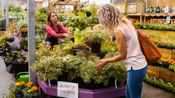 Female florist watering flowers with watering can while customer looking at pot plant