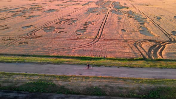 A man at sunset rides a bicycle along a yellow wheat field and along a green field.