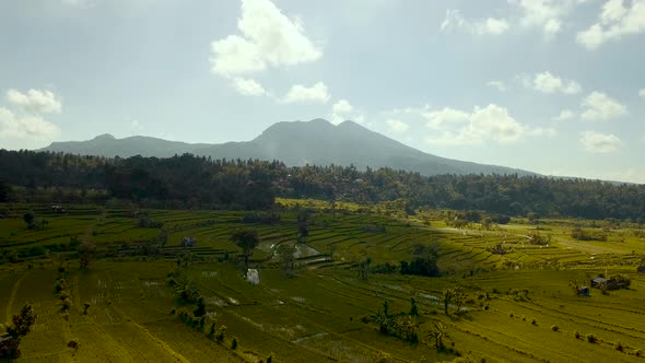 Incredible wide angle view of green fields in rural countryside of Bali with Mount Agung on the hori