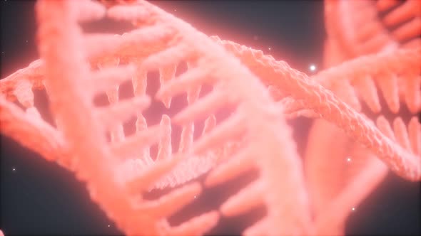 Double Helical Structure of Dna Strand Close-up Animation