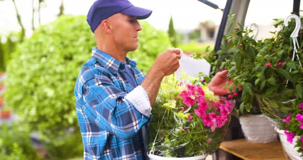 Confident Male Gardener Examining Potted Flower Plant