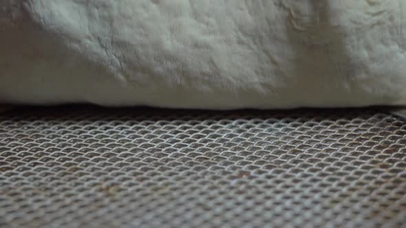 one man placed pizza dough on pizza tray