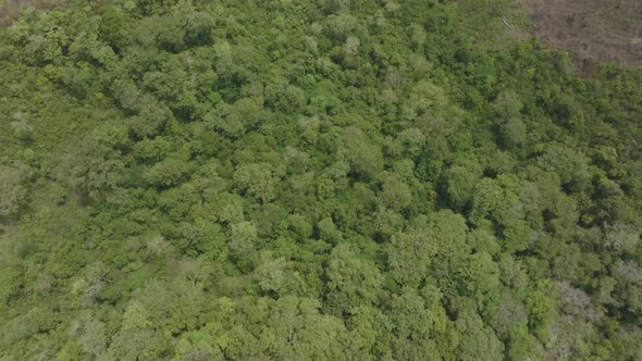 Top down aerial footage that pans up revealing the coast and beach in Sierra Leone, Africa.