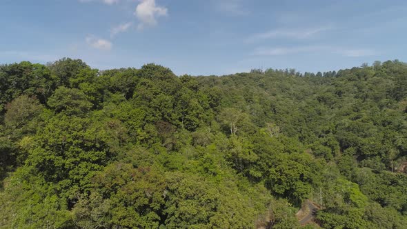 Tropical Landscape Rainforest and Mountains