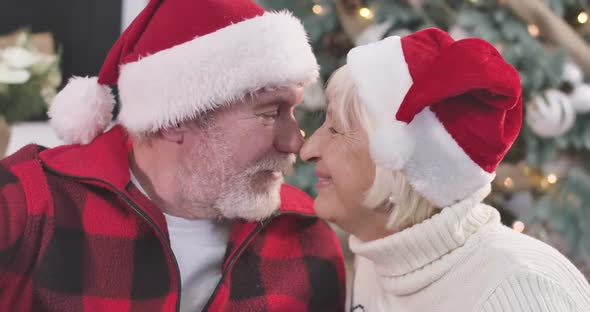 Close-up Portrait of Senior Caucasian Couple Rubbing Noses, Looking at Camera and Smiling