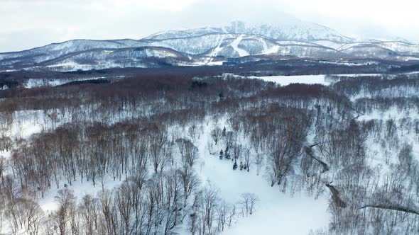 The beautiful winter in Niseko