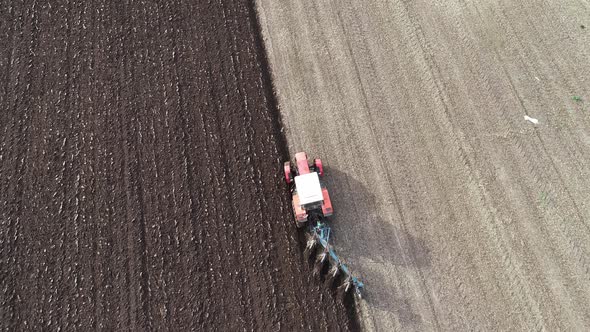 Agricultural Red Small Tractor in the Field Plowing