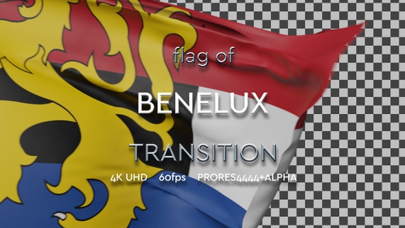 Flag of Benelux Transition | UHD | 60fps alt