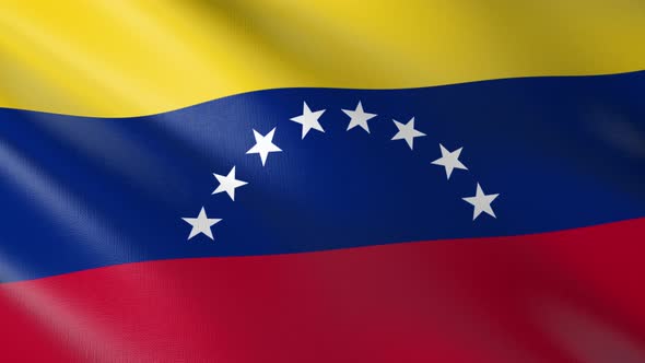 Flag of The Venezuela