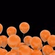 Orange Balloon Transitions - VideoHive Item for Sale