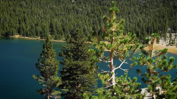 Beautiful and peaceful mountain lake in California