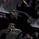 Bat Crowd Sideview Full Hd - VideoHive Item for Sale
