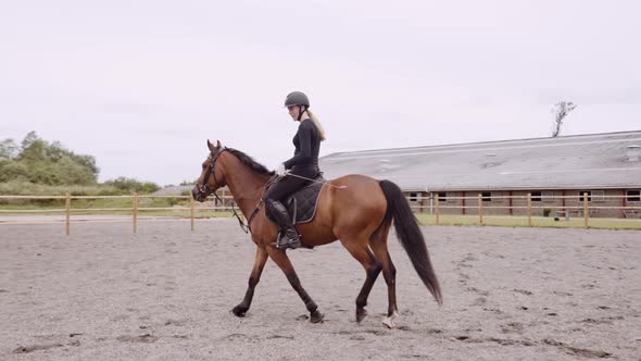 Young Woman Riding Brown Horse In Paddock