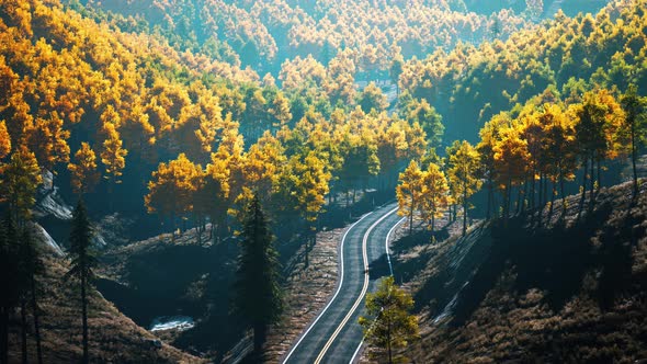 Majestic Trees with Sunny Beams at Mountain Valley alt