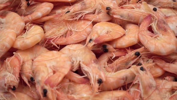 A large number of boiled shrimp, close-up. The dish rotates