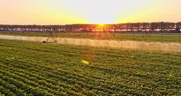 Aerial shot of green soybean crop field pivot irrigation system