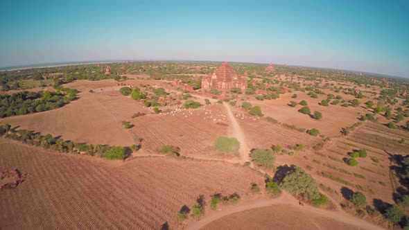 Flying Over Dhammayangyi Pagoda in Bagan