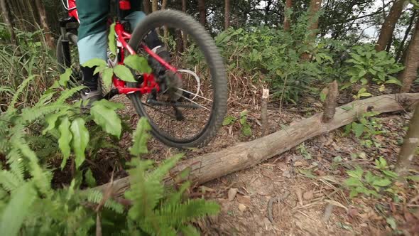 Mountain biker cycling on forest trail, slow motion