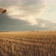 Female With Suitcase Walking In A Field - VideoHive Item for Sale