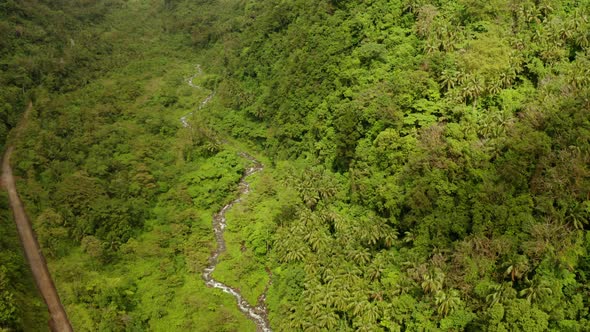 River Flowing in the Mountain Jungle Philippines Camiguin