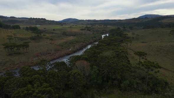 Nature of Southern Brazil in the Morning