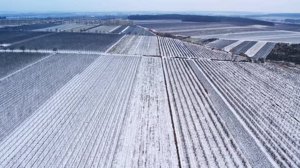Aerial Video of Vineyard in Winter Time with Snow Near an International Route