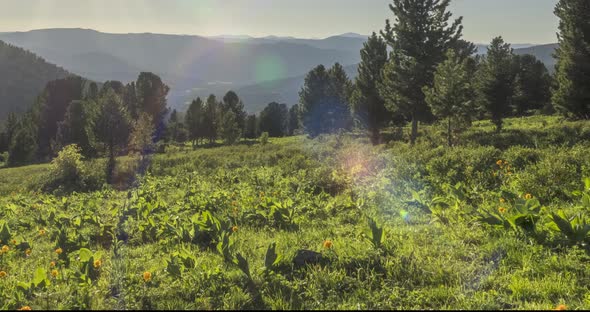 Mountain Meadow Timelapse