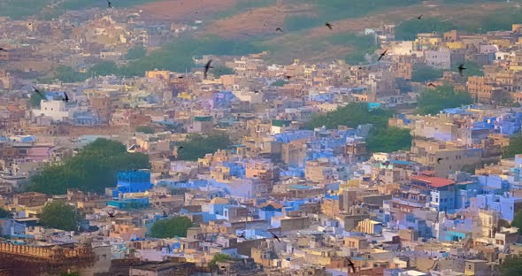 Houses and Roofs of Famous Jodhpur the Blue City, Aerial View From Mehrangarh Fort, Rajasthan, India