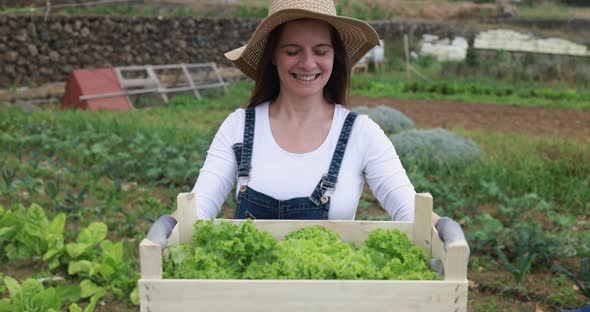 Mature caucasian woman working at ecological farm - Fresh food and harvest concept