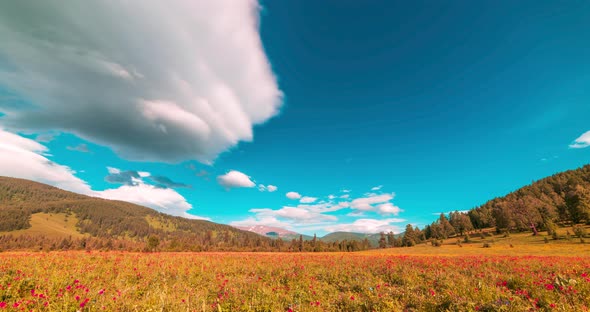 Mountain Meadow Timelapse at the Summer or Autumn Time