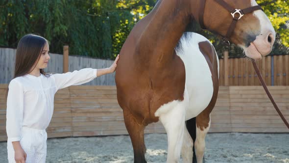 Young Girl Comes To Horse and Caressing It on Hippodrome