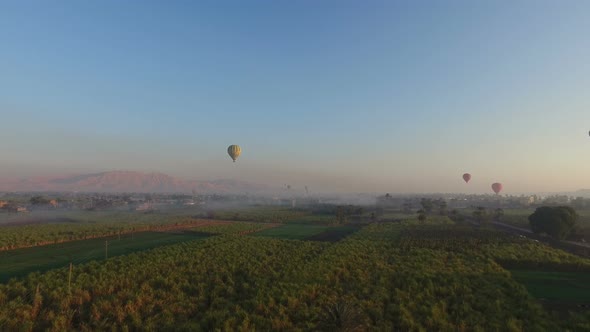 Hot air balloons flying over the fields in Luxor at sunrise