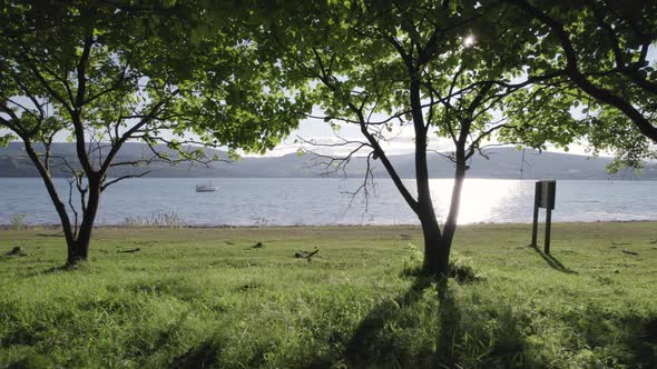 Looking Out From an Orchard to a Secluded Bay