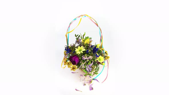 Loop Time Lapse of Bouquet of Flowers in Basket That Is Blooming and Fading on the White Background