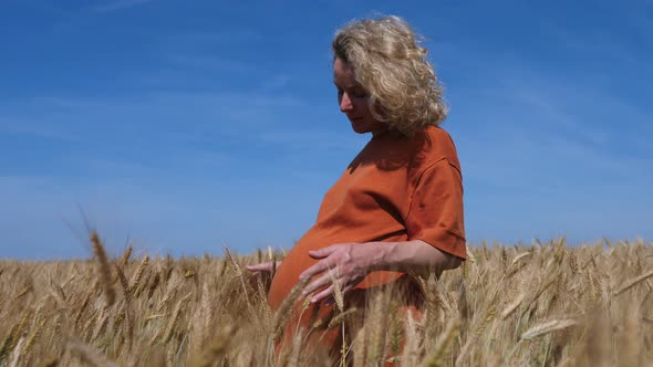 Pregnant Girl In Field Of Wheat At Sunset