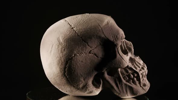 Human Skull Rotating 