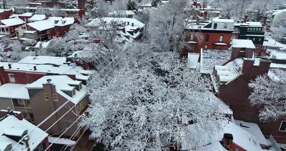 Black bird crow flies above town covered in winter snow in USA. Homes in residential district. Estab