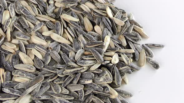 Sunflower Seeds 11