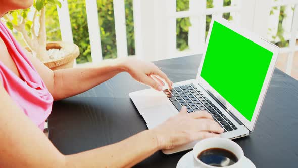 Woman using laptop in restaurant